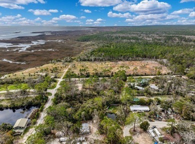 Welcome to this prime chunk of Florida paradise! This 3.03 acre - photo 5