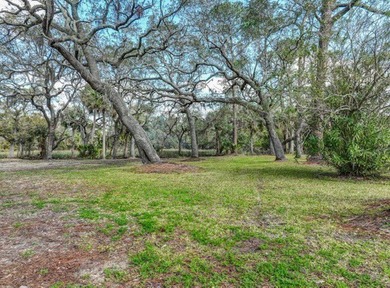 Welcome to this prime chunk of Florida paradise! This 3.03 acre - photo 6