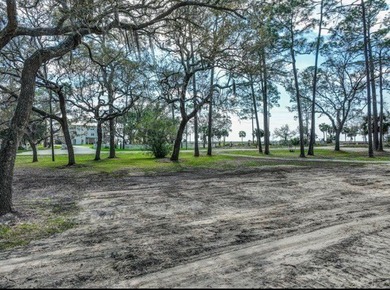 Welcome to this prime chunk of Florida paradise! This 3.03 acre - photo 7