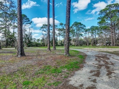 Welcome to this prime chunk of Florida paradise! This 3.03 acre - photo 8