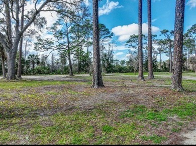 Welcome to this prime chunk of Florida paradise! This 3.03 acre - photo 9