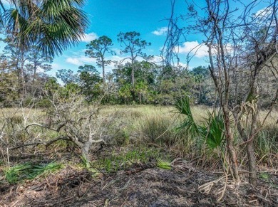 Welcome to this prime chunk of Florida paradise! This 3.03 acre - photo 10