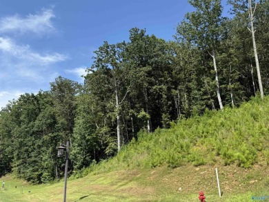Lake Lot For Sale in Guntersville, Alabama