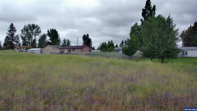 Agency Lake Lot For Sale in Chiloquin Oregon