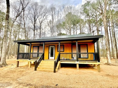 Lake Eddins Home For Sale in Pachuta Mississippi