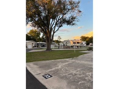 Lake Grassy Lot For Sale in Lake Placid Florida