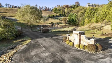 New Construction in Emerald Pointe | Overlooking Picturesque - photo 45