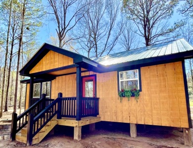 REDUCED!!New Lake Eddins' Secluded Cabin!!! - photo 28