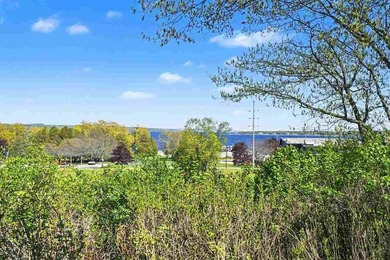 VIEWS! Stunning Lake Charlevoix views on a 1+ acre property - photo 31