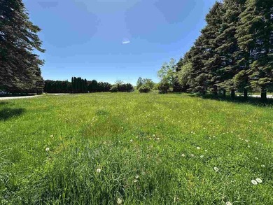 VIEWS! Stunning Lake Charlevoix views on a 1+ acre property - photo 35