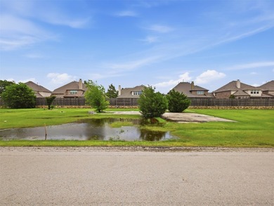 Rare opportunity to own nearly 1 acre in the heart of Frisco! - photo 5