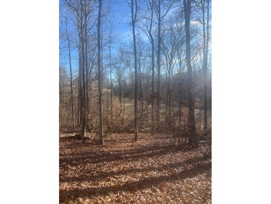Lake Hartwell Lot For Sale in Westminster South Carolina