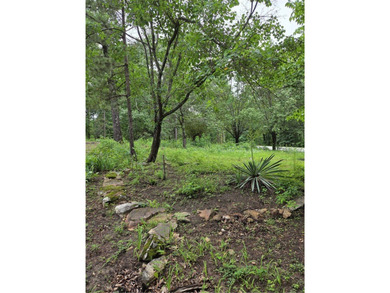 Welcome to your dream Ozark retreat! This incredible 8,414 sq ft - photo 30