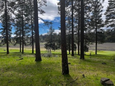 Upper Klamath Lake Lot For Sale in Klamath Falls Oregon