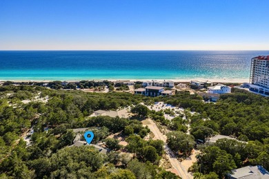 (private lake, pond, coastal) Home For Sale in Santa Rosa Beach Florida