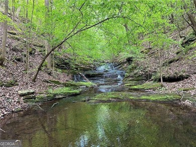 (private lake, pond, coastal) Acreage Sale Pending in Rockmart Georgia