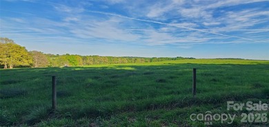 1060 acres more or less, Alexander County, NC, self sustaining - photo 4