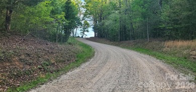1060 acres more or less, Alexander County, NC, self sustaining - photo 5