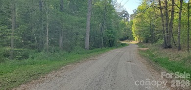 1060 acres more or less, Alexander County, NC, self sustaining - photo 6