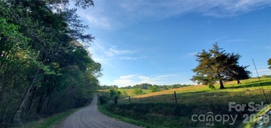 1060 acres more or less, Alexander County, NC, self sustaining - photo 8