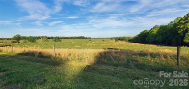 1060 acres more or less, Alexander County, NC, self sustaining - photo 10