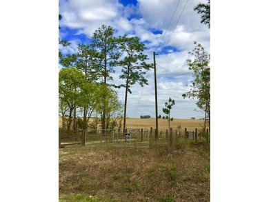 Bonable Lake Acreage Sale Pending in Dunnellon Florida