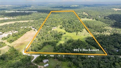 (private lake, pond, coastal) Home For Sale in Franklin Texas