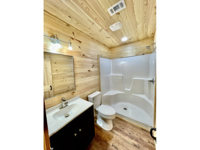 REDUCED!!New Lake Eddins' Secluded Cabin!!! - photo 20