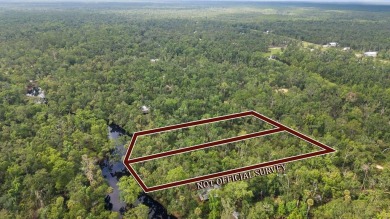 (private lake, pond, creek) Acreage For Sale in Steinhatchee Florida