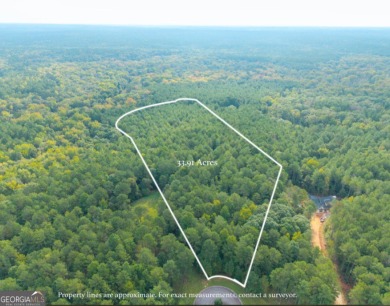 Lake Acreage For Sale in Madison, Georgia