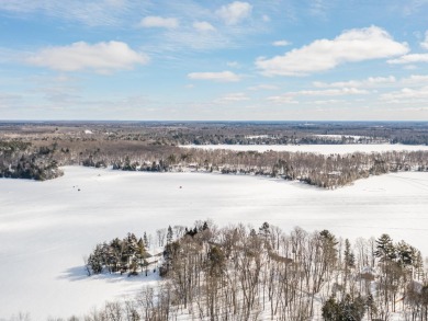 Butternut Lake - Price County Acreage SOLD! in Lake Wisconsin