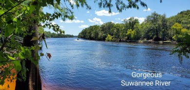 Lake Acreage For Sale in Old Town, Florida