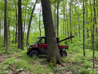 (private lake, pond, creek) Acreage For Sale in Meadowbrook Wisconsin