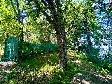 This two-story home tucked in quietly along the South shore of - photo 45