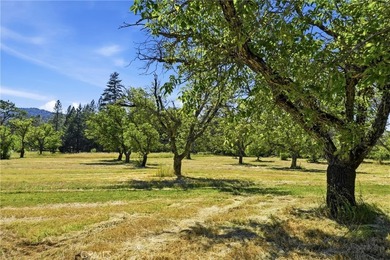 Looking for acreage? Creek? and lots of privacy ? Here you go - photo 50