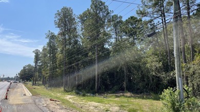 Two parcels totaling approximately 34.58 acres just north of - photo 10
