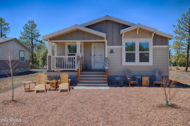 Lake Home For Sale in Lakeside, Arizona