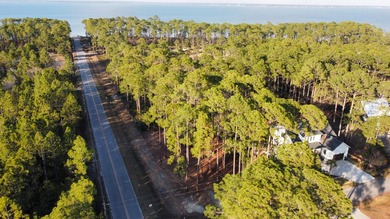 An exceptional opportunity to build in one of South Walton's - photo 2