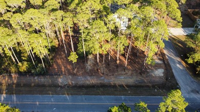 An exceptional opportunity to build in one of South Walton's - photo 3