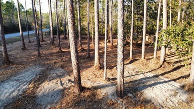 An exceptional opportunity to build in one of South Walton's - photo 7