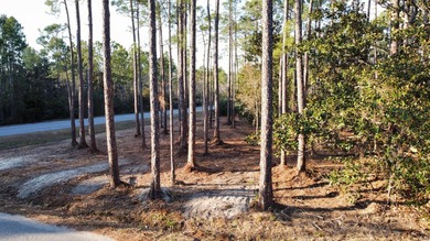 An exceptional opportunity to build in one of South Walton's - photo 8