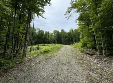 Lake Acreage For Sale in Cathance Twp, Maine