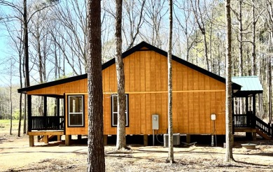 REDUCED!!New Lake Eddins' Secluded Cabin!!! - photo 24