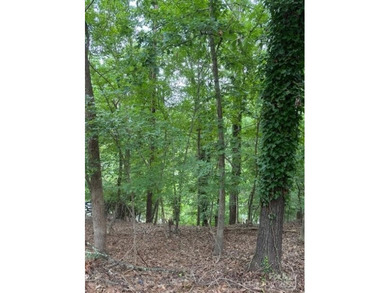 Lake Lot For Sale in Tega Cay, South Carolina