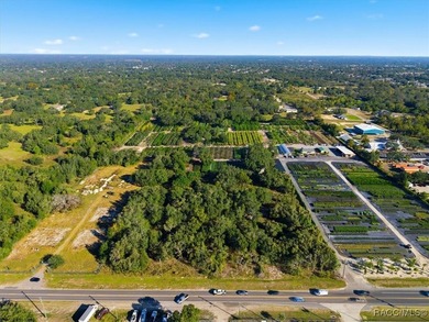 5.28 commercial acreage now available in an area where a lot of - photo 11