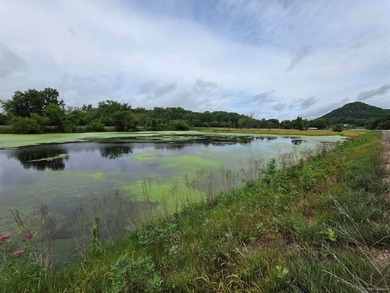 Unique 4-acre recreational parcel located along the Mississippi - photo 1