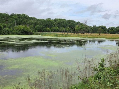 Unique 4-acre recreational parcel located along the Mississippi - photo 4
