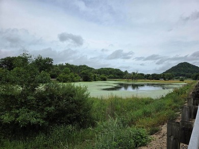 Unique 4-acre recreational parcel located along the Mississippi - photo 7