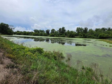 Unique 4-acre recreational parcel located along the Mississippi - photo 9