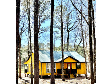 REDUCED!!New Lake Eddins' Secluded Cabin!!! - photo 25